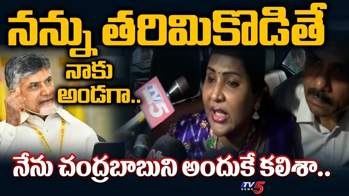 Undavalli Sreedevi : చంద్రబాబును అందుకే కలిశా.. ఉండవల్లి శ్రీదేవి సంచలన కామెంట్స్.. Undavalli Sreedevi sensational comments