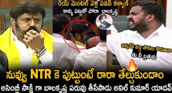 Anil Kumar Yadav : బాల‌కృష్ణ‌పై అనిల్ కుమార్ ఆగ్ర‌హం.. మీకు సిగ్గు, శ‌రం లేదా అంటూ ఫైర్..