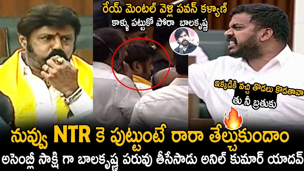 Anil Kumar Yadav : బాలకృష్ణపై అనిల్ కుమార్ ఆగ్రహం.. మీకు సిగ్గు, శరం లేదా అంటూ ఫైర్.. Anil Kumar Yadav very angry on balakrishna for his behavior