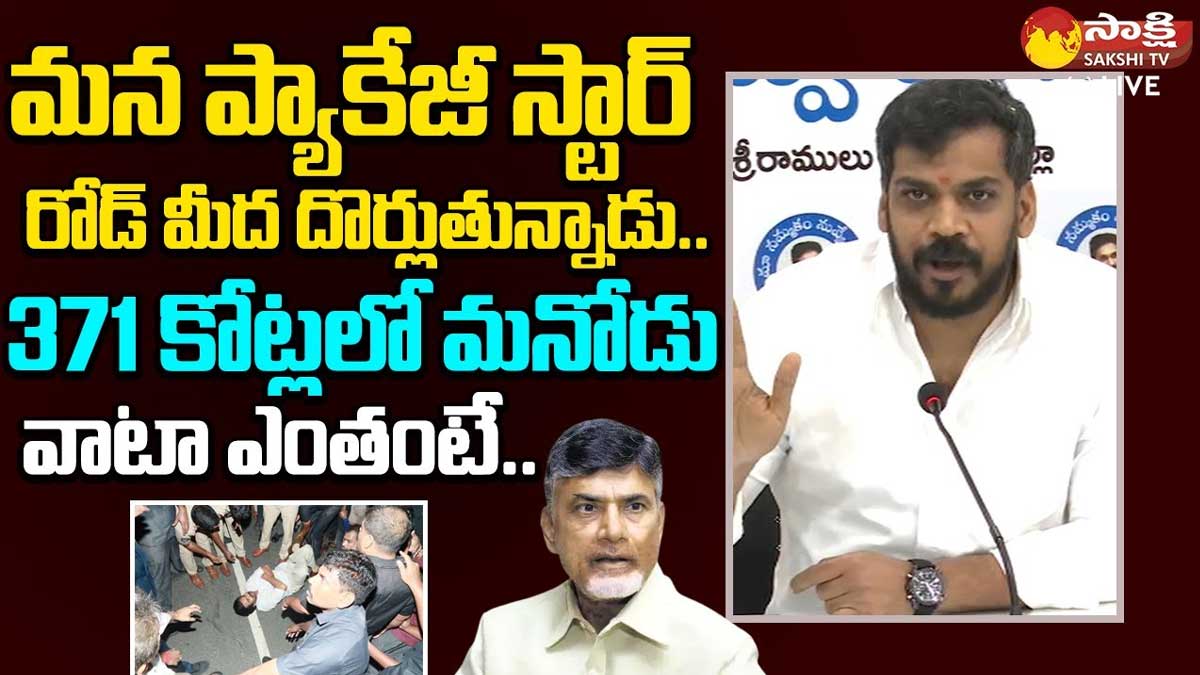 Anil Kumar Yadav : సొంత పుత్రుడు సైలెంట్గా ఉన్నా.. దత్తపుత్రుడు రోడ్లపై బొర్లుతున్నాడంటూ.. అనిల్ పంచ్లు.. Anil Kumar Yadav strong counter to pawan kalyan