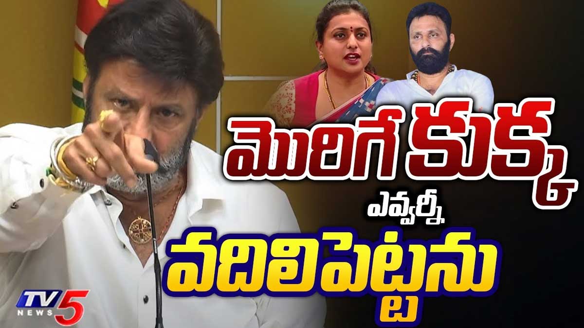 Balakrishna : మొరిగితే అస్సలు పట్టించుకోను.. అతిక్రమిస్తే మాత్రం అస్సలు వదలను అంటూ బాలయ్య వార్నింగ్.. Balakrishna angry on roja and kodali nani