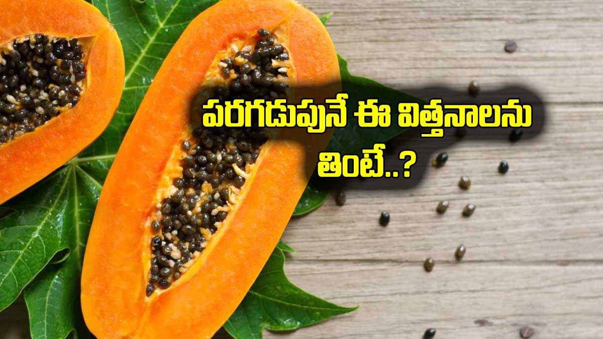 Papaya Seeds : పరగడుపున బొప్పాయి విత్తనాలను తింటే..? Papaya Seeds take them on empty stomach for many benefits