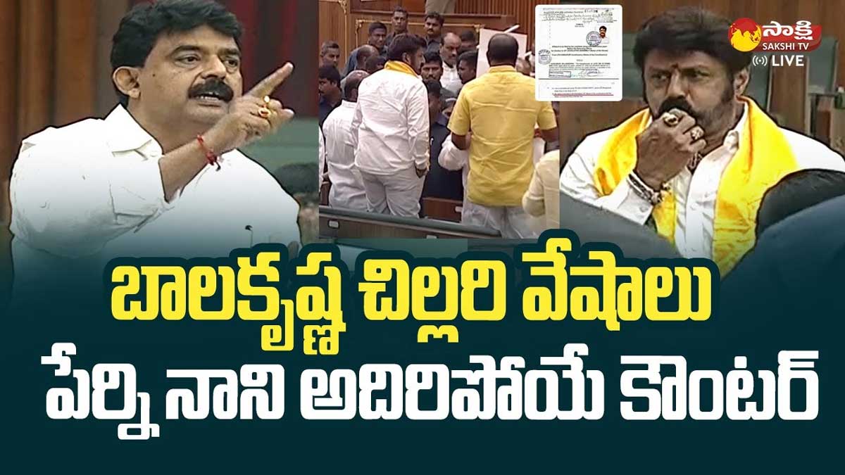 Perni Nani : బాలకృష్ణపై పేర్ని నాని అదిరిపోయే పంచ్లు.. ఏంటా చిల్లర వేషాలంటూ కౌంటర్.. Perni Nani strong comments on balakrishna about his behavior