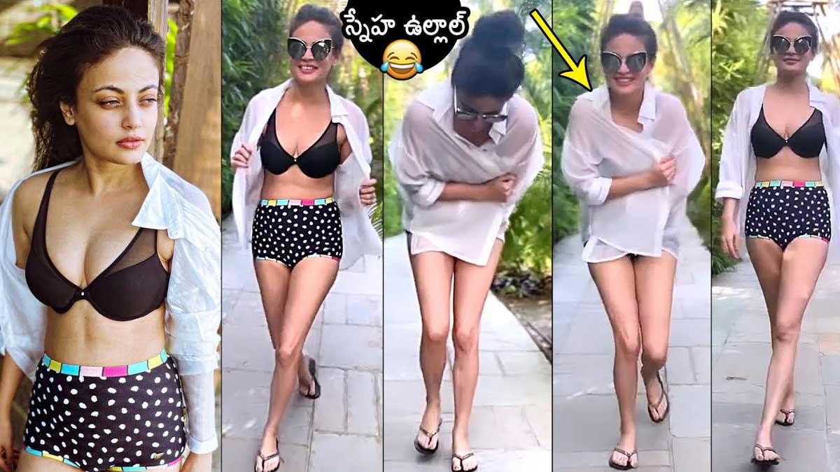 Sneha Ullal latest video viral on social media 