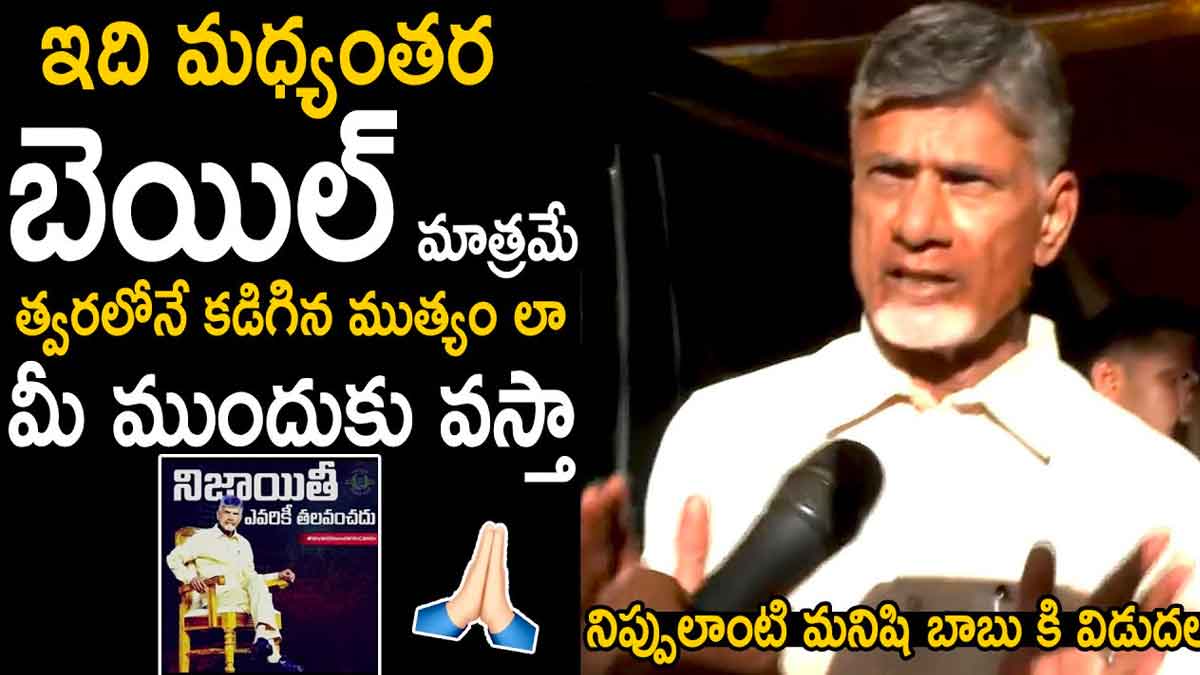 Chandra Babu : బెయిల్పై విడుదలైన అనంతరం చంద్రబాబు ఏమన్నారంటే..? Chandra Babu sensational speech after release