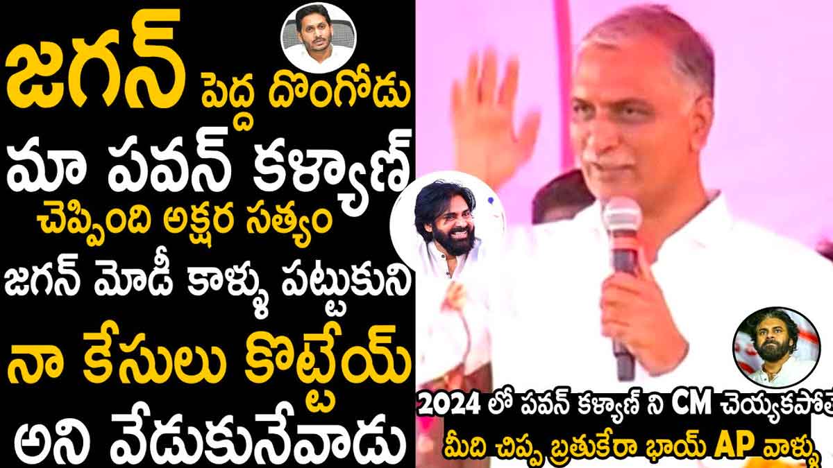 Harish Rao : జగన్ పెద్ద దొంగ.. పవన్ కళ్యాణ్ చెప్పింది నిజమే.. హరీష్ రావు ఆసక్తికర కామెంట్స్ Harish Rao sensational comments on cm ys jagan