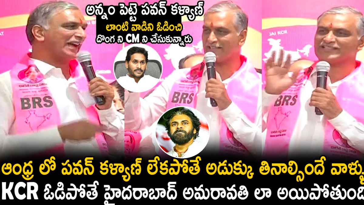 Harish Rao : జగన్పై విమర్శలు.. కేసీఆర్ని ఓడిస్తే హైదరాబాద్ అమరావతిలా మారుతుందంటూ.. Harish Rao comments on cm ys jagan