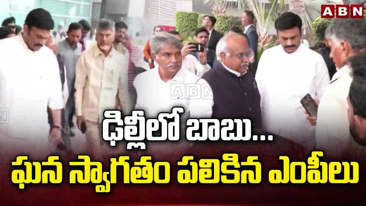 Chandra Babu : ఢిల్లీలో ప్రత్యక్షమైన చంద్రబాబు.. ఆయనకు ఘనస్వాగతం పలికిన ఎంపీలు.. Chandra Babu went to delhi to meet mps