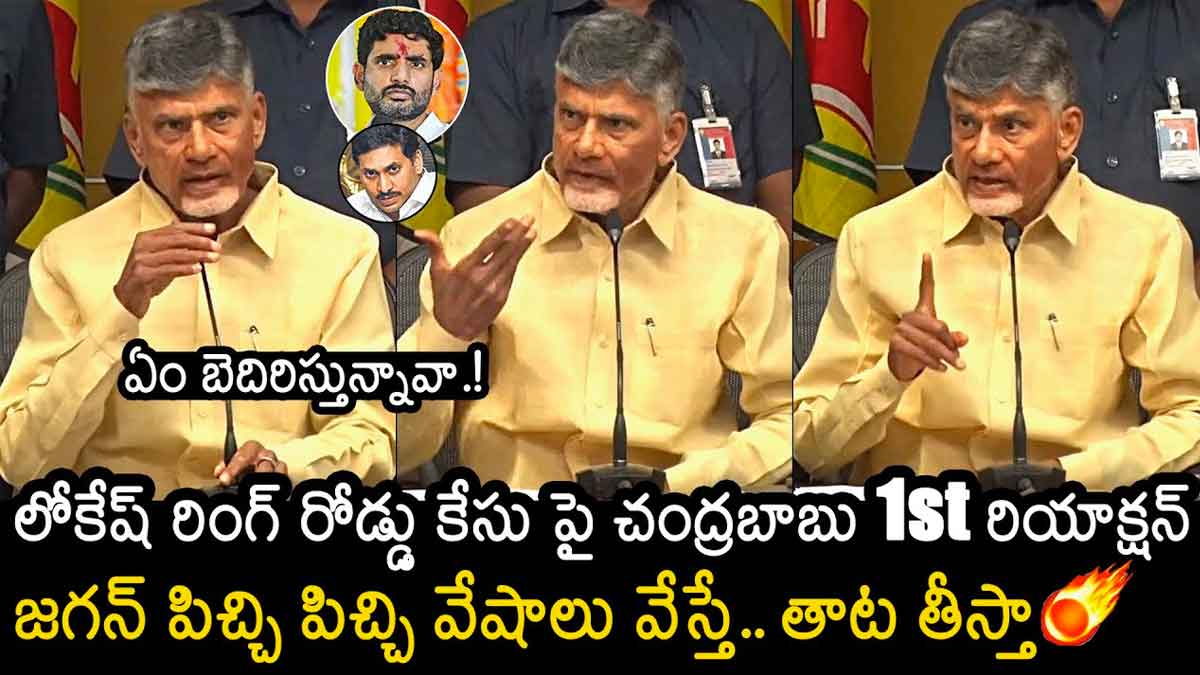 Chandra Babu : పిచ్చి పిచ్చి వేషాలు వేస్తే తాట తీస్తా.. సీఎం జగన్కు చంద్రబాబు వార్నింగ్.. Chandra Babu strong warning to cm ys jagan about nara lokesh