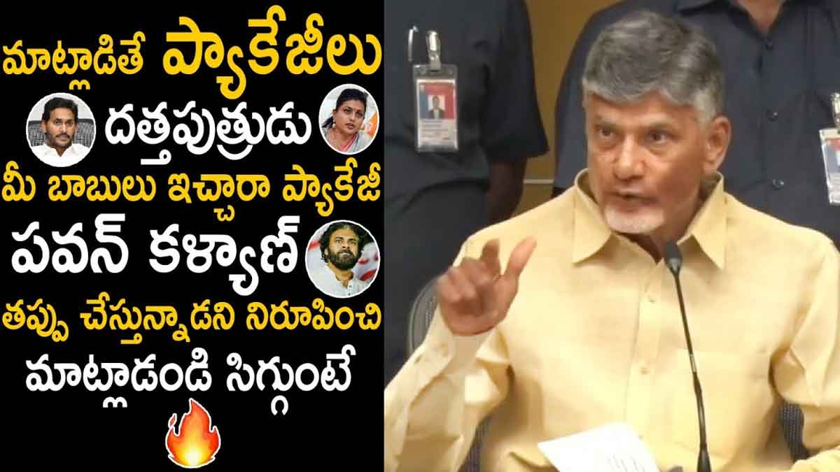 Chandra Babu : ప్యాకేజ్ మీ బాబులు ఇచ్చారా.. వైసీపీపై విరుచుకుపడ్డ చంద్రబాబు.. Chandra Babu comments on pawan kalyan package