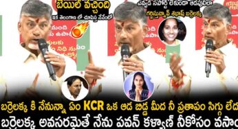 Chandra Babu : బ‌ర్రెల‌క్క‌కి స‌పోర్ట్‌గా నేను, ప‌వ‌న్ క‌ళ్యాణ్ వెళ‌తామంటున్న చంద్ర‌బాబు