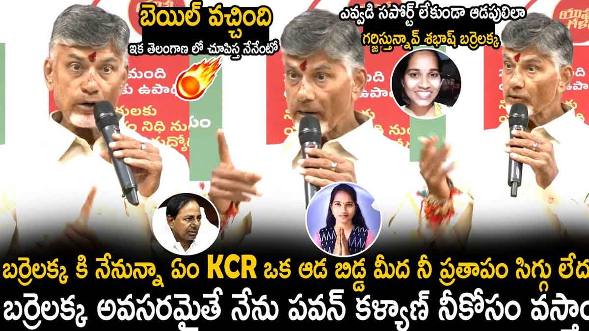 Chandra Babu : బర్రెలక్కకి సపోర్ట్గా నేను, పవన్ కళ్యాణ్ వెళతామంటున్న చంద్రబాబు Chandra Babu gives support to barrelakka
