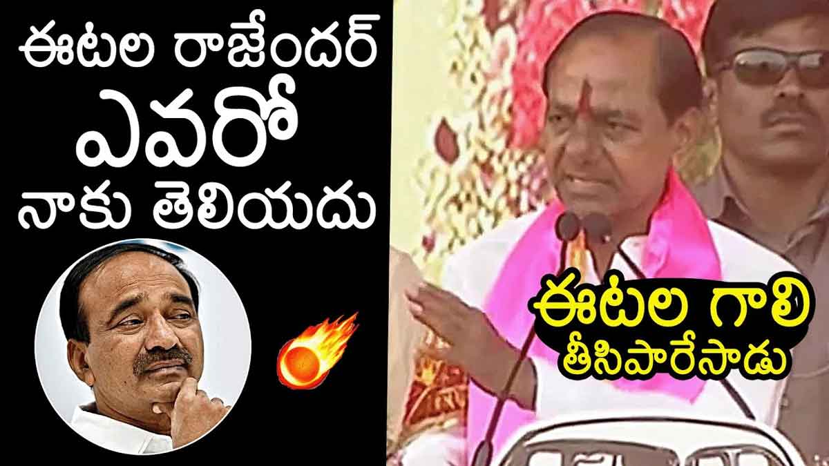 CM KCR interesting comments on etala rajender 