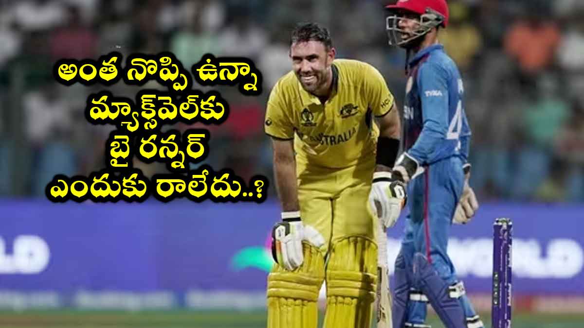 Maxwell : అంత నొప్పితో ఉన్నా మ్యాక్స్వెల్కి బై రన్నర్ ఎందుకు రాలేదు..? why Maxwell not allowed to get by runner