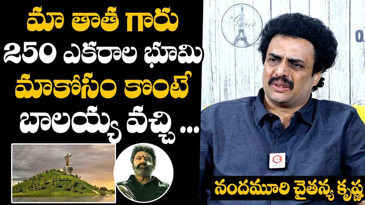 Nandamuri Chaitanya Krishna sensational comments on balakrishna 