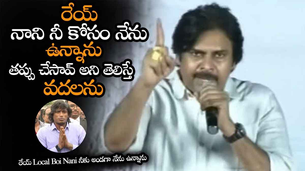 Pawan Kalyan : అరెయ్ నాని నీకు నేను అండగా ఉన్నాను.. ధైర్యం అందించిన పవన్.. Pawan Kalyan supported youtuber nani for vizag incident