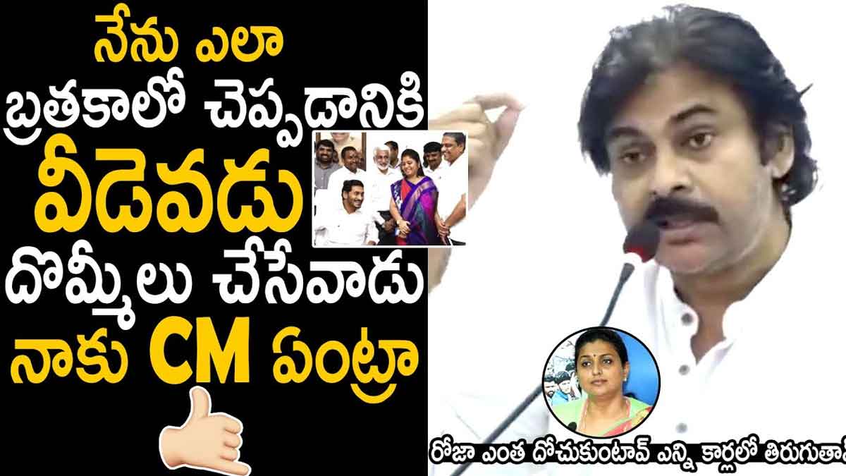 Pawan Kalyan very angry comments on cm ys jagan 