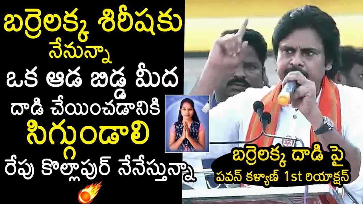 Pawan Kalyan : బర్రెలక్కపై దాడి.. నీకోసం నేను అండగా ఉంటానంటూ ధైర్యం ఇచ్చిన పవన్ కళ్యాణ్ Pawan Kalyan given support to barrelakka