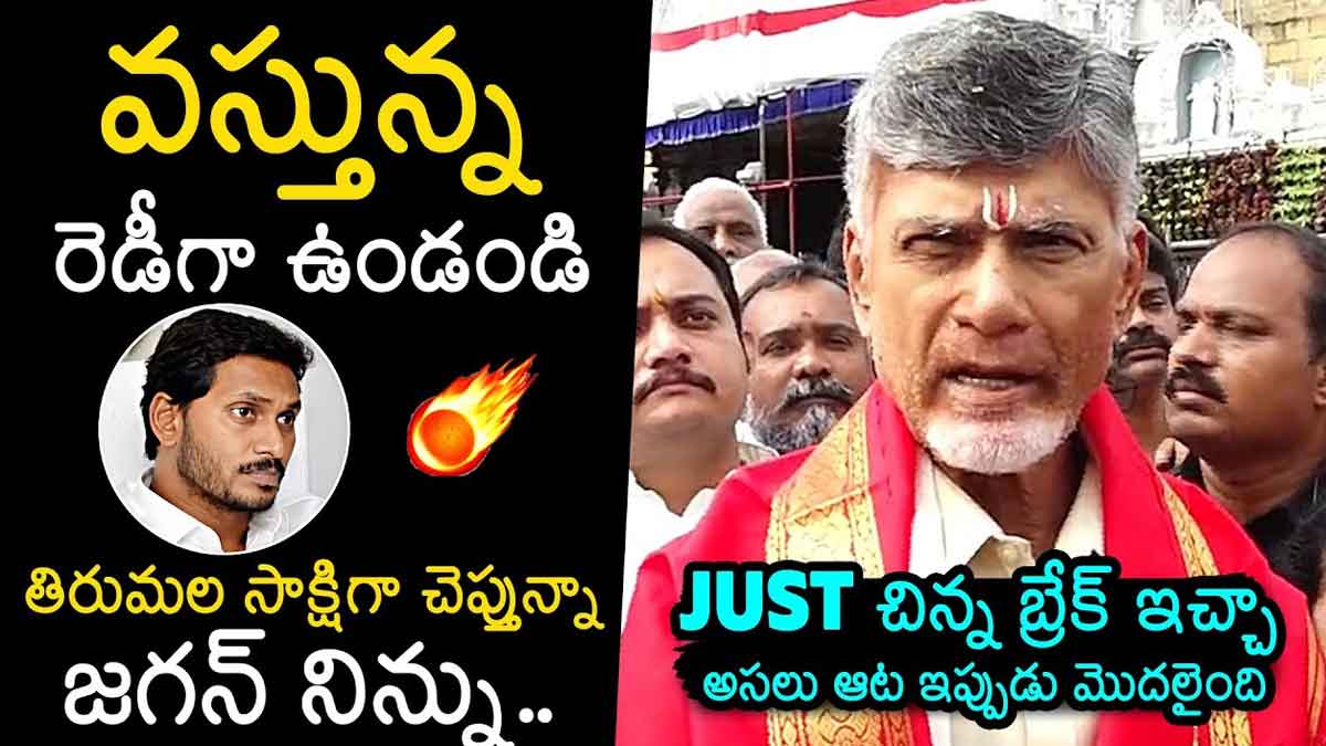 Chandra Babu : త్వరలోనే వస్తున్నా.. రెడీగా ఉండు అంటూ జగన్కి చంద్రబాబు వార్నింగ్ Chandra Babu strong warning to cm ys jagan what he said
