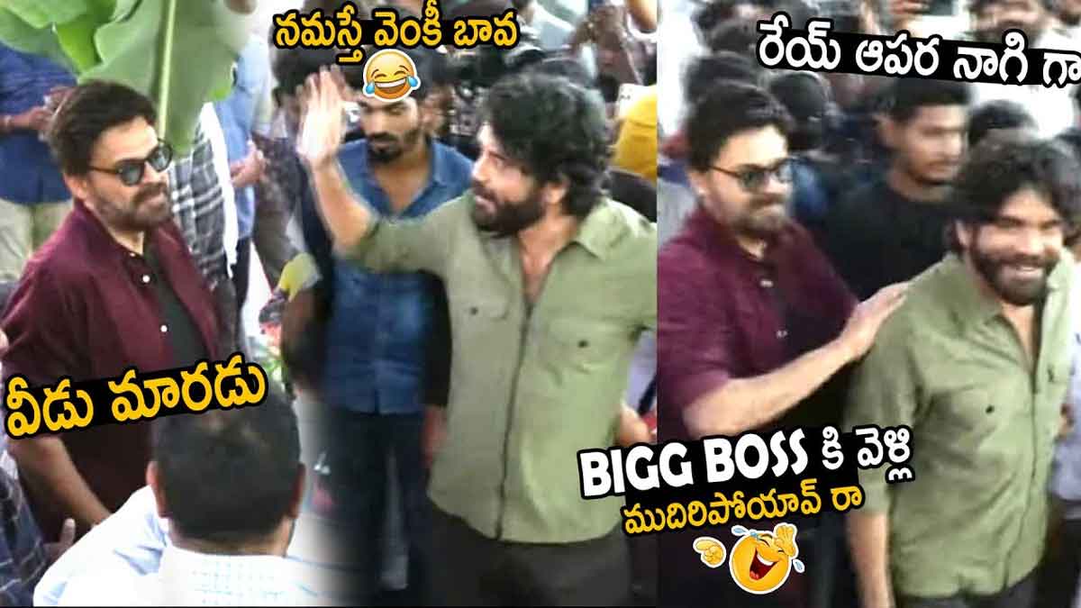 Venkatesh And Nagarjuna : బావ బావ మరుదులు సరదాగా ఎంజాయ్ చేశారుగా.. ఏం జరిగింది అంటే..? Venkatesh And Nagarjuna fun during naga chaitanya movie