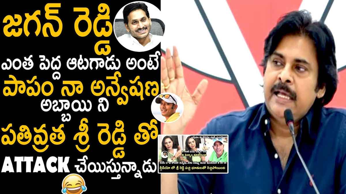 Pawan Kalyan : నా అన్వేషణ అబ్బాయిని శ్రీరెడ్డితో ఎటాక్ చేయిస్తున్నాడు.. జగన్పై పవన్ విమర్శలు Pawan Kalyan sensational comments on srireddy