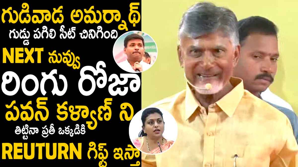 Chandrababu : అమర్నాథ్ గుడ్డు పగిలింది.. పవన్ కళ్యాణ్ని తిడితే రోజా పని అంతేనంటూ చంద్రబాబు ఫైర్ Chandrababu comments on gudivada amarnath