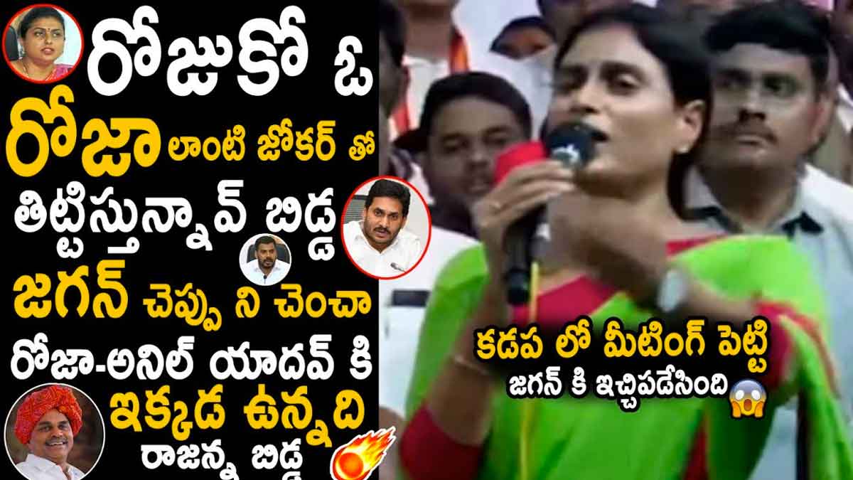 YS Sharmila : రోజుకొకళ్లతో తిట్టిస్తున్నారు..రాజన్న బిడ్డతో పెట్టుకోవద్దంటూ షర్మిళ వార్నింగ్ YS Sharmila sensational comments about leaders