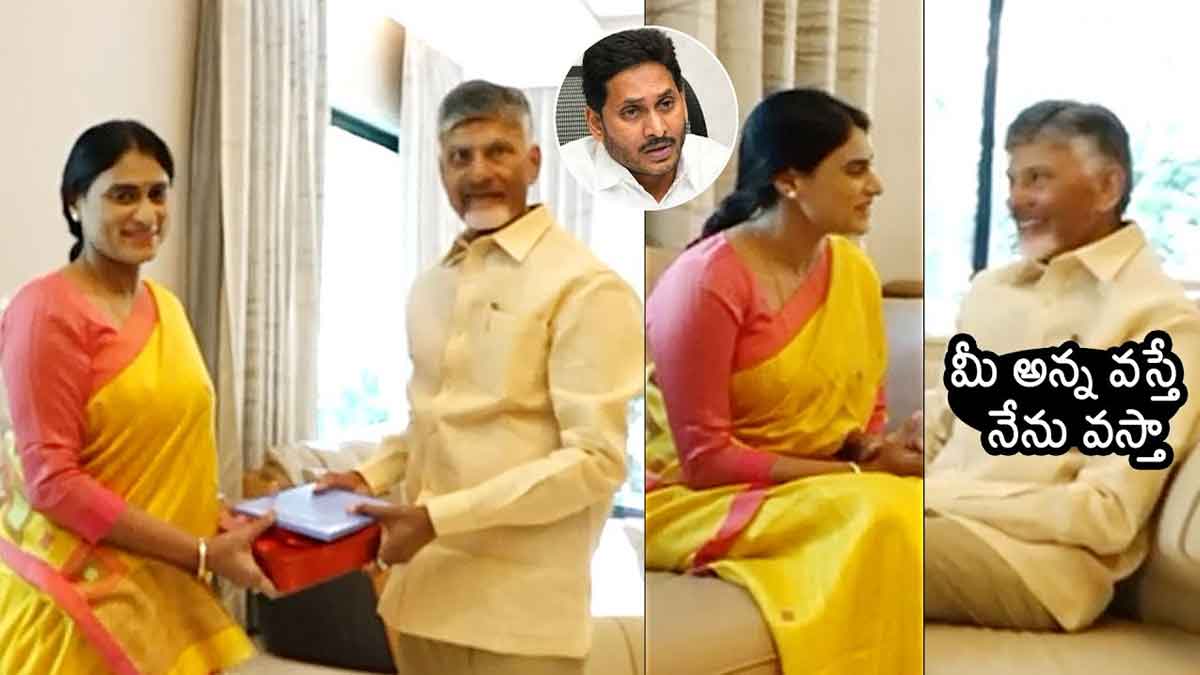 YS Sharmila invited chandra babu for her son marriage
