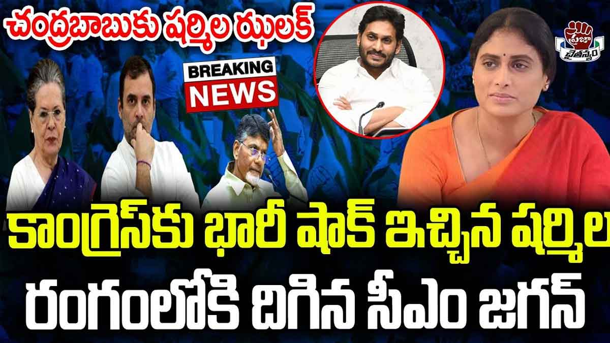 YS Sharmila may surprise congress party 