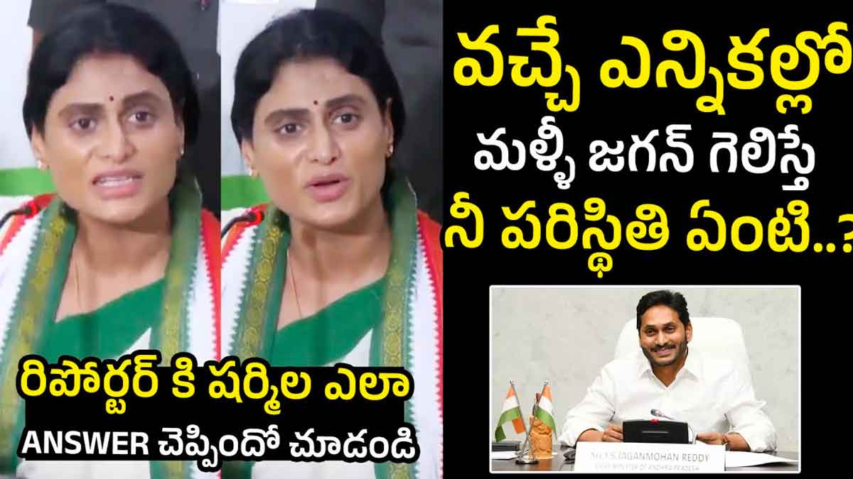 YS Sharmila reply to his brother win if
