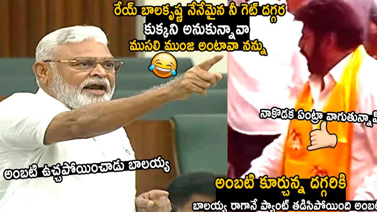 Ambati Rambabu : అంబటిపై నిప్పులు చెరిగిన బాలకృష్ణ.. సినిమాలో చూపించుకోమంటూ రాంబాబు ఘాటు కామెంట్స్ Ambati Rambabu sensational comments on balakrishna