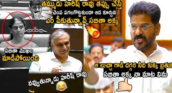 CM Revanth Reddy : హ‌రీష్ రావు త‌ప్పు చేస్తే చూస్తూ కూర్చున్నావా స‌బితక్క‌.. సీఎం రేవంత్ ఓ రేంజ్ లో విమ‌ర్శ‌లు..