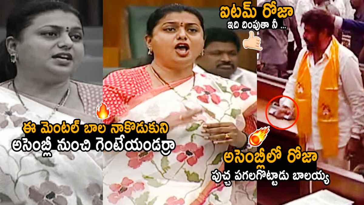 Roja : అసెంబ్లీలో రోజా.. మూములుగా రచ్చ చేయలేదుగా.. Roja in assembly vs balakrishna what happened
