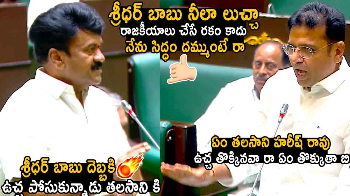 Sridhar Babu : అసెంబ్లీలో తలసాని వర్సెస్ శ్రీధర్ బాబు.. బీఆర్ఎస్ నాయకులకి చెమటలు పట్టించారుగా..! Sridhar Babu vs talasani in assembly what happened