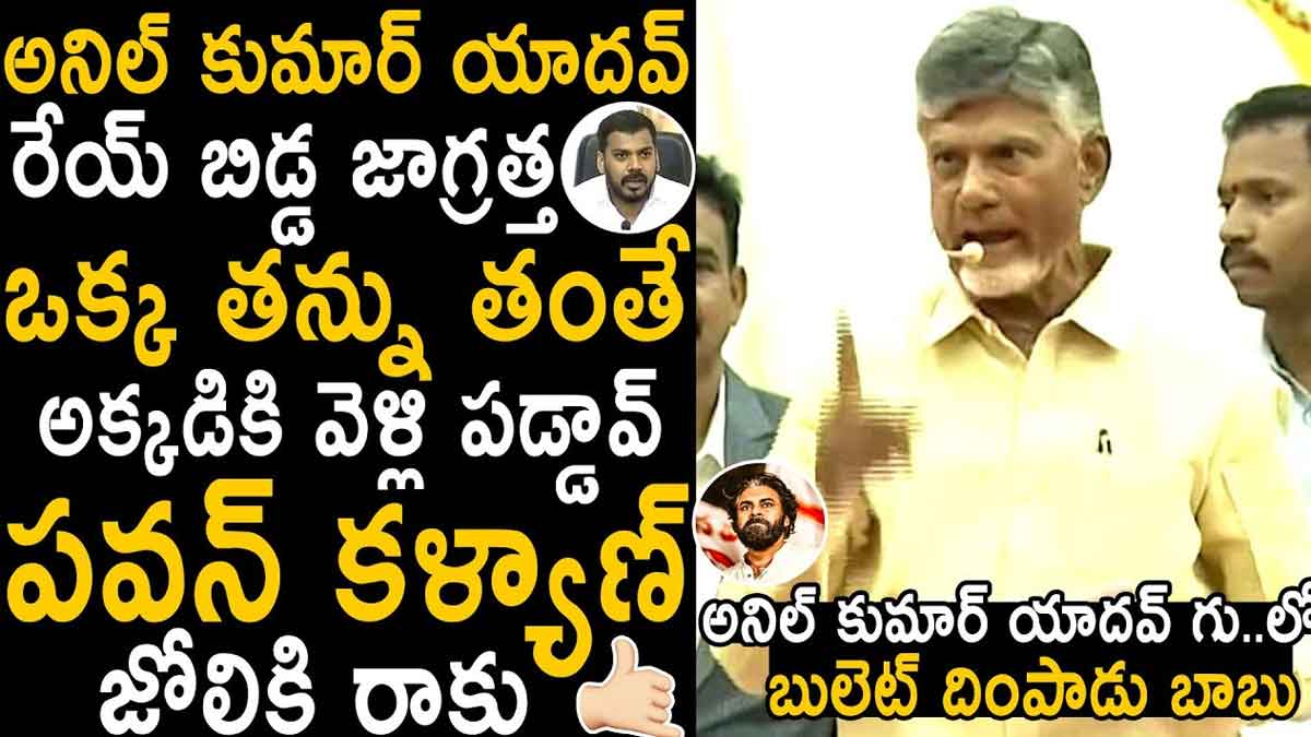 Chandra Babu : తంతే మూడు జిల్లాల అవతల పడ్డాడు.. అనీల్ కుమార్పై చంద్రబాబు నాన్స్టాప్ పంచ్లు Chandra Babu interesting comments on anil kumar yadav