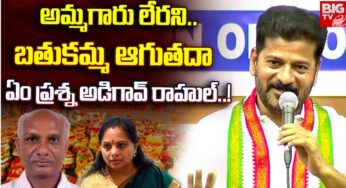 CM Revanth Reddy : అమ్మగారు లేరని బతుకమ్మ ఆగుతదా రాహుల్‌.. రేవంత్ రెడ్డి సెటైర్..