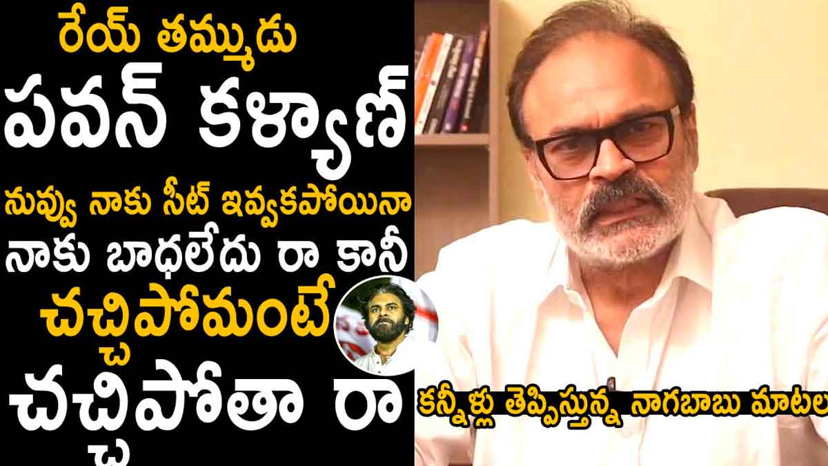 Naga Babu : పోటీకి దూరంగా నాగబాబు.. సంచలన వ్యాఖ్యలు చేసిన మెగా బ్రదర్.. Naga Babu sensational comments on pawan kalyan