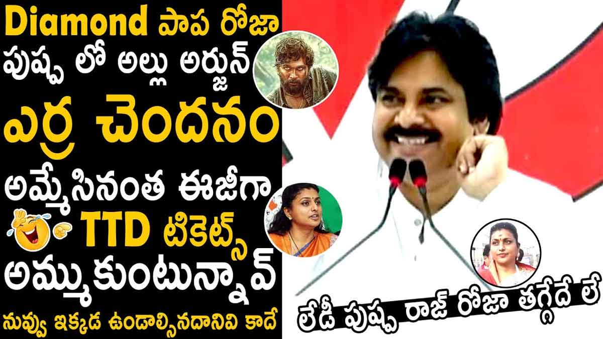 Pawan Kalyan indirect comments on roja about pushpa movie