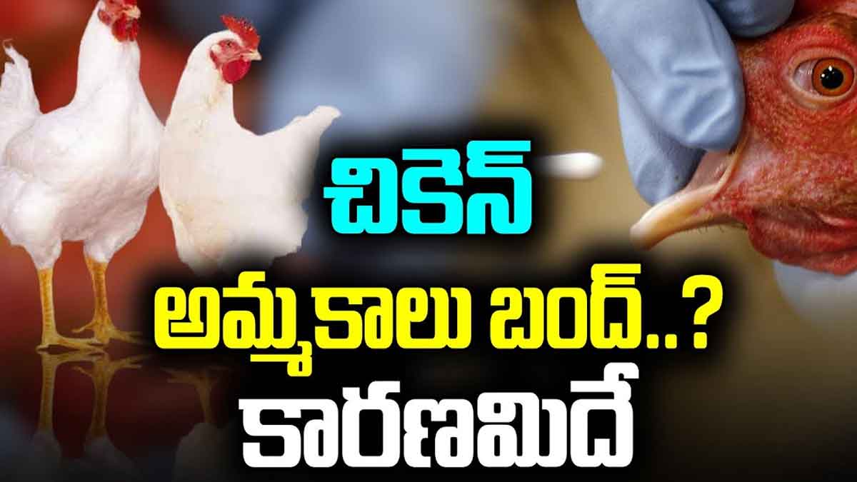 Chicken Sales : చికెన్ అమ్మకాలు బంద్..? ఎందుకు..? Chicken Sales reportedly going down what are the reasons