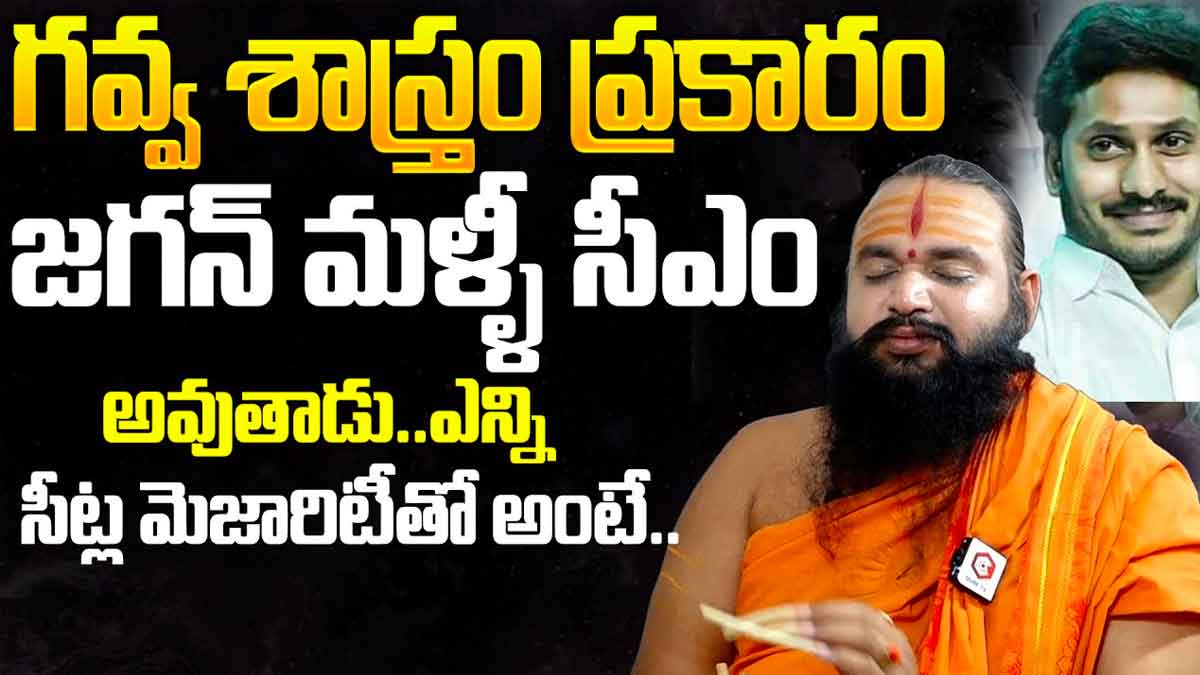 YS Jagan : గవ్వ శాస్త్రం ప్రకారం జగన్ మళ్లీ సీఎం అవుతారు.. కృష్ణమాచార్య సంచలన కామెంట్స్.. YS Jagan will become cm again to ap