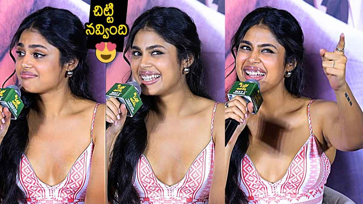Faria Abdullah : ఫరియా అబ్దుల్లా అందాల ఆరబోత.. ఎన్నడూ లేనంతగా రెచ్చిపోతుందిగా..! Faria Abdullah funny speech in aa okkati adakku film trailer launch