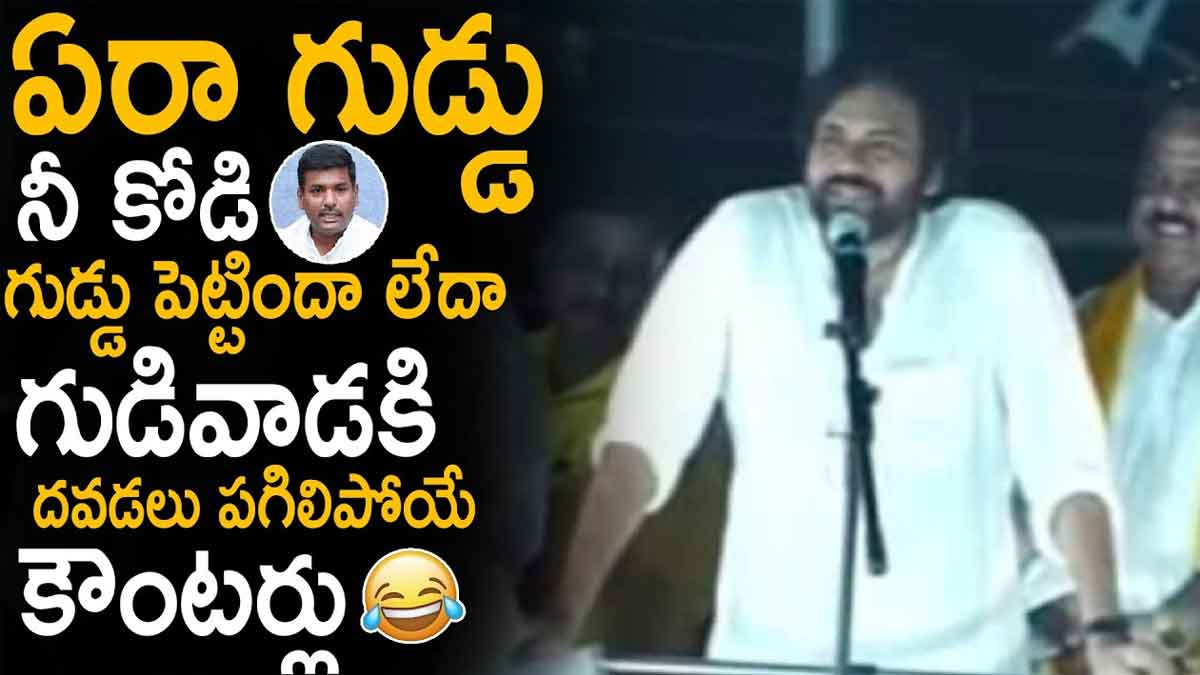 Pawan Kalyan : నీ కోడి గుడ్డు పెట్టిందా లేదా.. అమర్నాథ్కి దిమ్మతిరిగే కౌంటర్ ఇచ్చిన పవన్.. Pawan Kalyan sensational comments on gudivada amarnath