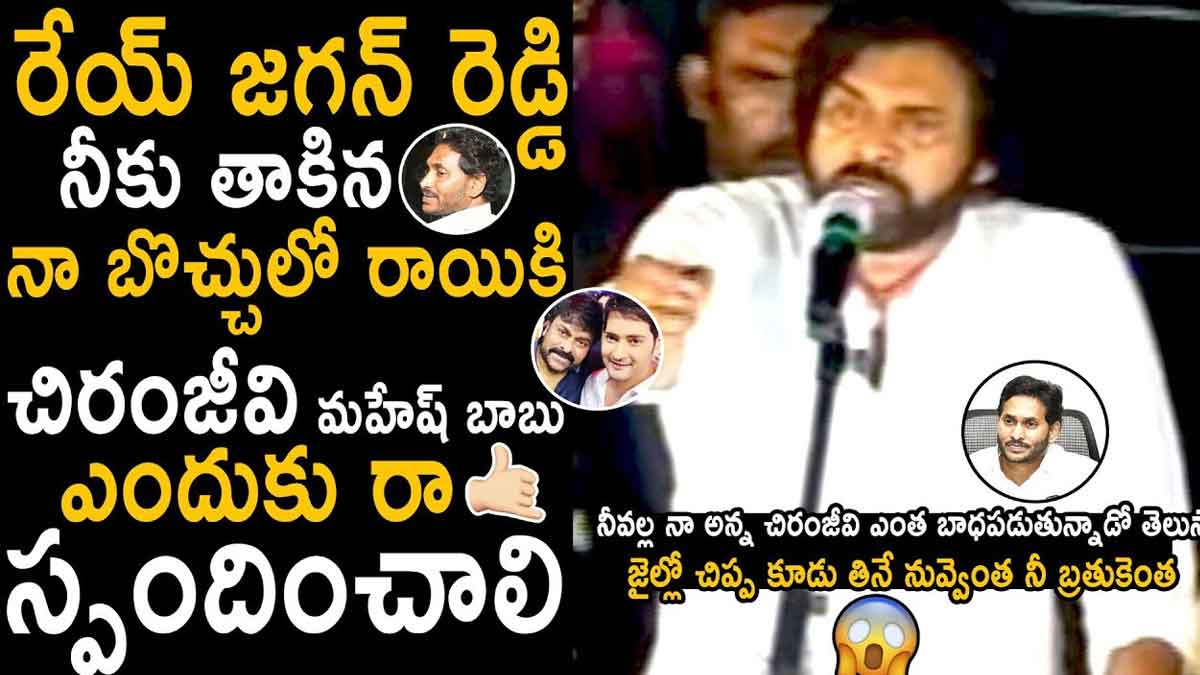 Pawan Kalyan : నీకు రాయి తగిలితే మా అన్న ఎందుకు స్పందించాలి.. జగన్పై పవన్ తీవ్ర వ్యాఖ్యలు.. Pawan Kalyan sensational comments on cm ys jagan about stone