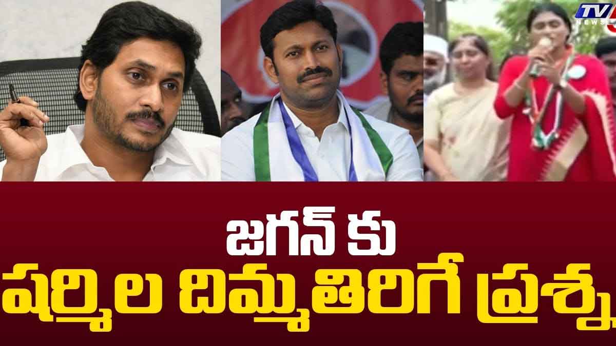 YS Sharmila : సీఎం జగన్కి రాయి తగలడంపై స్పందించిన షర్మిళ.. ఏమన్నదో విని అందరూ షాకయ్యారుగా..! YS Sharmila sensational comments on cm ys jagan
