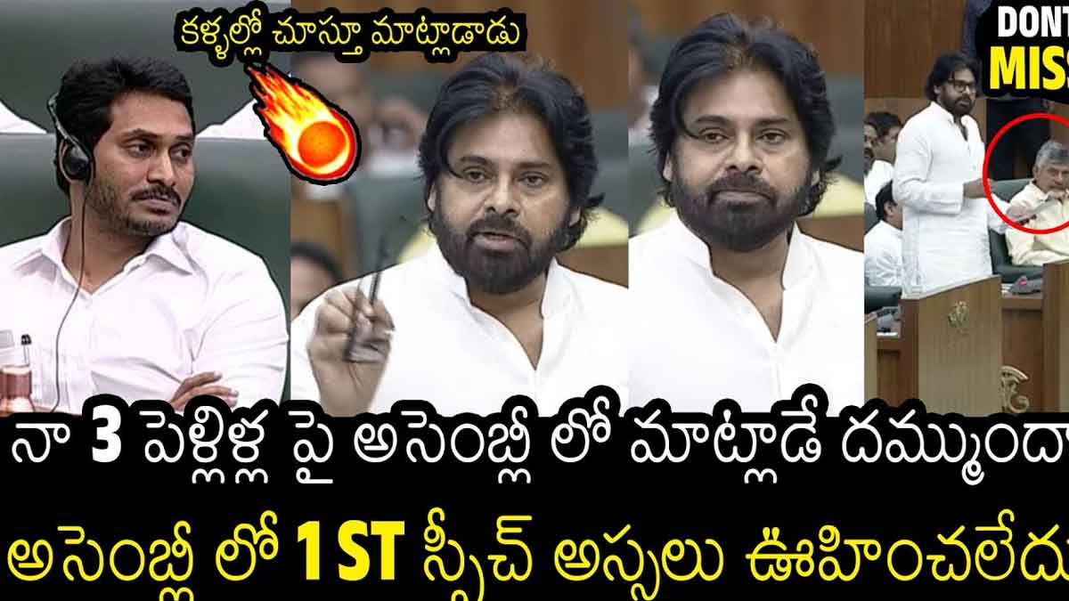 Pawan Kalyan : అసెంబ్లీలో పవన్ కళ్యాణ్ పవర్ఫుల్ స్పీచ్.. ఒక్కొక్కళ్లకి దద్దరిల్లిపోయిందిగా..! Pawan Kalyan speech in assembly everyone got attracted