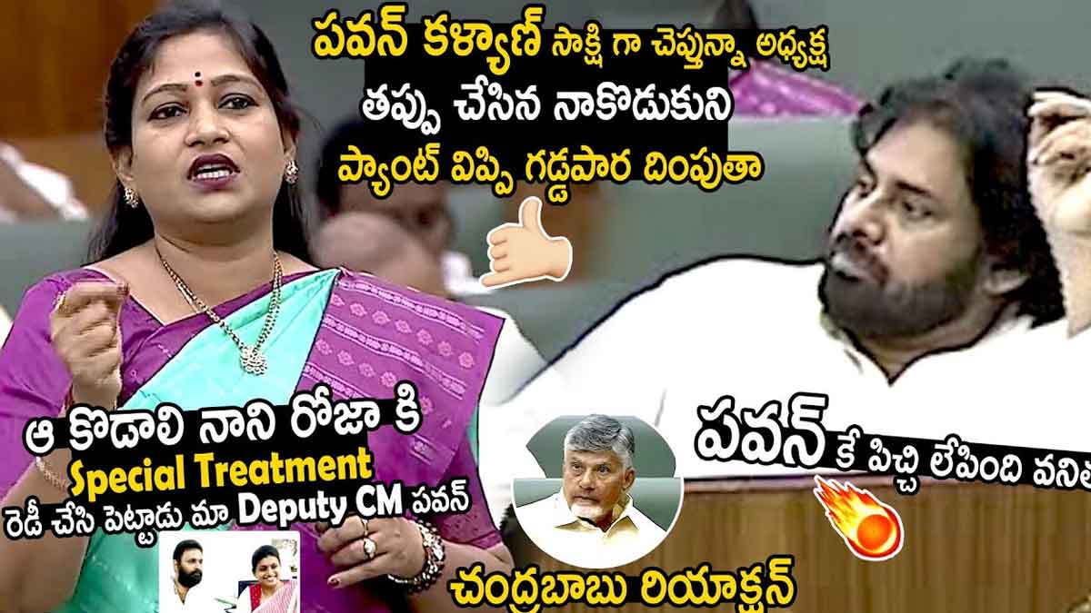 Vangalapudi Anitha : అసెంబ్లీ సాక్షిగా వారికి వార్నింగ్ ఇచ్చిన అనిత..! home minister Vangalapudi Anitha comments in ap assembly