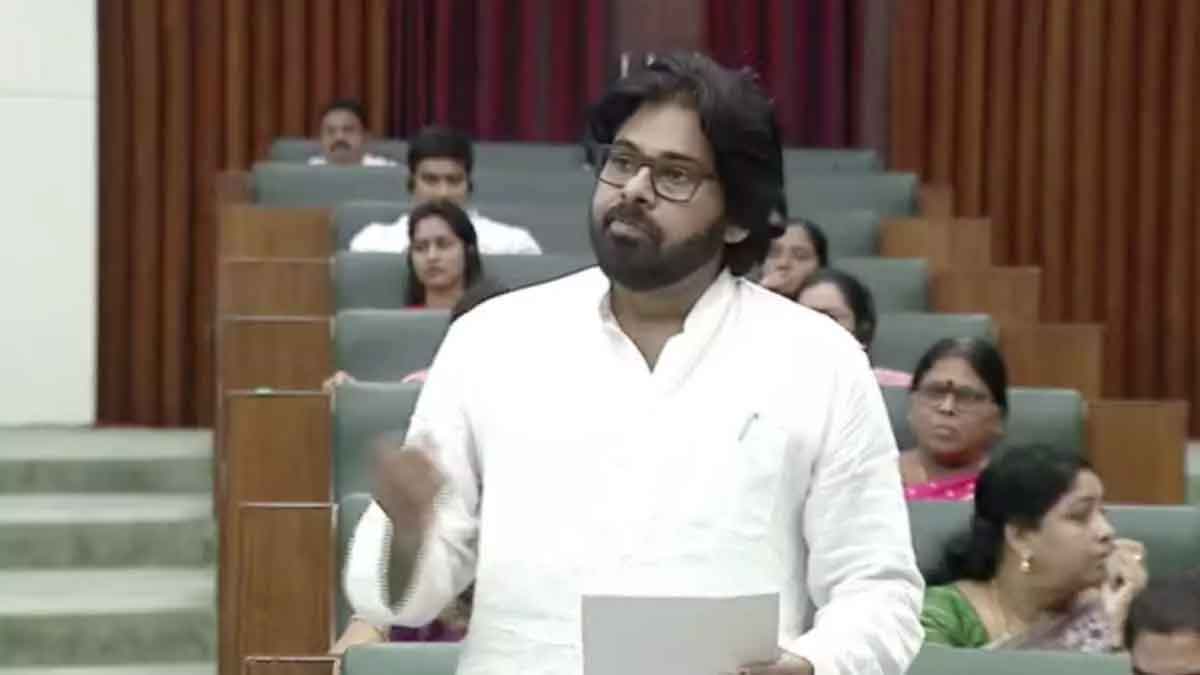 Pawan Kalyan : ఎవ్వరు అడగరని అనుకున్నారా.. అసెంబ్లీలో పవన్ గర్జన.. Pawan Kalyan important speech in assembly what he said