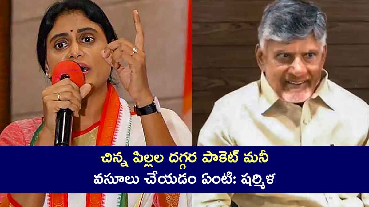 YS Sharmila : చిన్న పిల్లల దగ్గర పాకెట్ మనీ వసూలు చేయడం ఏంటి: షర్మిళ YS Sharmila angry on cm chandra babu for collecting money from kids savings